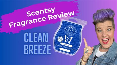 scentsy reviews|More.